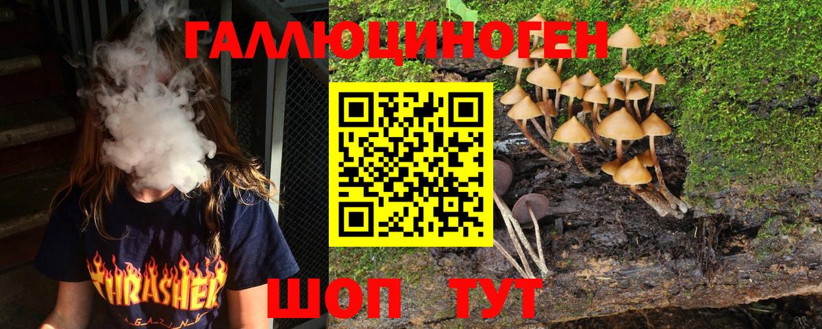 Йошкар-Ола  Галлюциногенные грибы GOLDEN TEACHER  купить наркоту  Вход с VPN  Псилоцибиновые грибы MAGIC MUSHROOMS 