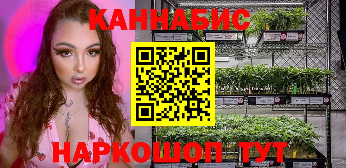 Йошкар-Ола  Канабис Amnesia  Вход с VPN  Каннабис OG Kush  Канабис OG Kush 
